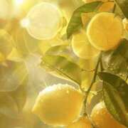 ヒメ日記 2025/10/31 20:30 投稿 こよみ もしも素敵な妻が指輪をはずしたら・・・