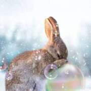 ヒメ日記 2025/11/04 10:10 投稿 こよみ もしも素敵な妻が指輪をはずしたら・・・