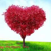 ヒメ日記 2025/11/04 20:50 投稿 こよみ もしも素敵な妻が指輪をはずしたら・・・