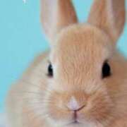 ヒメ日記 2025/11/17 10:05 投稿 こよみ もしも素敵な妻が指輪をはずしたら・・・