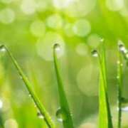 ヒメ日記 2025/11/30 20:01 投稿 こよみ もしも素敵な妻が指輪をはずしたら・・・