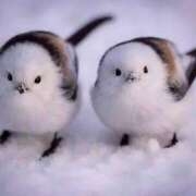 ヒメ日記 2025/12/13 20:30 投稿 こよみ もしも素敵な妻が指輪をはずしたら・・・