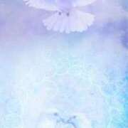 ヒメ日記 2026/02/17 10:00 投稿 こよみ もしも素敵な妻が指輪をはずしたら・・・