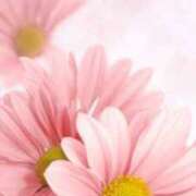 ヒメ日記 2026/03/31 20:30 投稿 こよみ もしも素敵な妻が指輪をはずしたら・・・