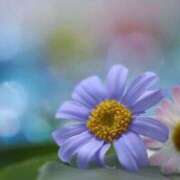 こよみ 大丈夫ですか？？ もしも素敵な妻が指輪をはずしたら・・・