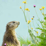 ヒメ日記 2026/04/29 13:00 投稿 こよみ もしも素敵な妻が指輪をはずしたら・・・