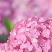 ヒメ日記 2026/05/21 12:10 投稿 こよみ もしも素敵な妻が指輪をはずしたら・・・