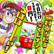 ヒメ日記 2025/11/08 11:59 投稿 まなみ Ace(エース)