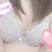 ヒメ日記 2025/10/28 06:17 投稿 あやめ プリンセスセレクション姫路