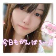 ヒメ日記 2025/10/29 12:02 投稿 あやめ プリンセスセレクション姫路