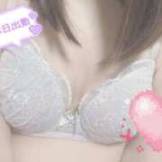 ヒメ日記 2025/10/30 17:00 投稿 あやめ プリンセスセレクション姫路