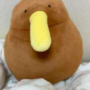 ヒメ日記 2025/11/08 21:02 投稿 あやめ プリンセスセレクション姫路