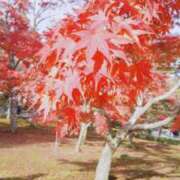 ヒメ日記 2025/11/08 22:01 投稿 あやめ プリンセスセレクション姫路