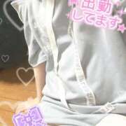 ヒメ日記 2025/11/15 14:45 投稿 あやめ プリンセスセレクション姫路