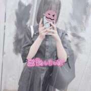 ヒメ日記 2025/11/26 15:02 投稿 あやめ プリンセスセレクション姫路