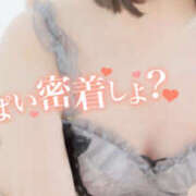 ヒメ日記 2026/02/16 21:00 投稿 あやめ プリンセスセレクション姫路