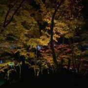 せいら 😢 ビデオDEはんど 名古屋校