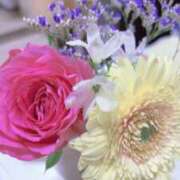 東山 わーい🙌2️⃣🐻 熟女の風俗最終章 横浜本店