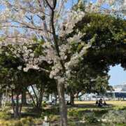 東山 残りわずか… 熟女の風俗最終章 横浜本店