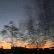 ヒメ日記 2025/12/12 07:03 投稿 はのん 横浜ハッピーマットパラダイス