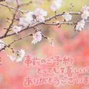 ヒメ日記 2026/02/12 22:27 投稿 はるか 長崎佐世保ちゃんこ