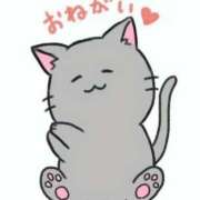 夢宮りぼん お願い🌸🌸🌸 奴隷志願！変態調教飼育クラブ本店