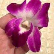 水瀬みなも 🩵出勤終わりました🩵 デリス新宿