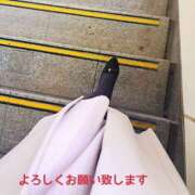 ヒメ日記 2026/06/08 15:20 投稿 中条雫(なかじょうしずく) 五十路マダムエクスプレス厚木店(カサブランカグループ)