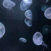 ヒメ日記 2026/02/14 10:16 投稿 かこ VIVIDCREWマダムセカンドバージン 梅田店