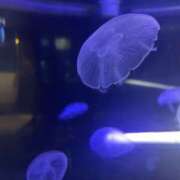 ヒメ日記 2026/03/23 10:45 投稿 かこ VIVIDCREWマダムセカンドバージン 梅田店