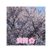 ヒメ日記 2026/04/03 12:38 投稿 みなみ 熟女デリヘル倶楽部