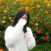 ヒメ日記 2025/10/28 18:16 投稿 つきほ 鹿鳴館