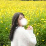 ヒメ日記 2025/10/30 15:26 投稿 つきほ 鹿鳴館