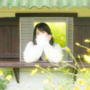 ヒメ日記 2025/11/03 15:46 投稿 つきほ 鹿鳴館