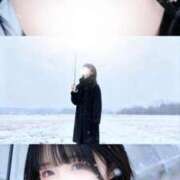 ヒメ日記 2025/11/08 18:16 投稿 つきほ 鹿鳴館