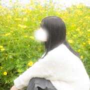 ヒメ日記 2025/11/09 18:06 投稿 つきほ 鹿鳴館