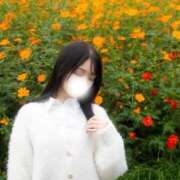 ヒメ日記 2025/11/11 18:06 投稿 つきほ 鹿鳴館