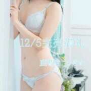 つきほ 🌙12/5完売🈵ありがとう🌙 鹿鳴館