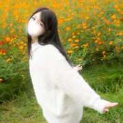 ヒメ日記 2025/12/07 09:16 投稿 つきほ 鹿鳴館