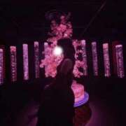 ヒメ日記 2025/12/18 18:06 投稿 つきほ 鹿鳴館