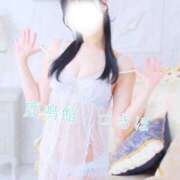 ヒメ日記 2025/12/20 18:16 投稿 つきほ 鹿鳴館