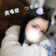 ヒメ日記 2025/12/23 06:46 投稿 つきほ 鹿鳴館