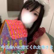 ヒメ日記 2025/12/25 12:16 投稿 つきほ 鹿鳴館