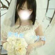 ヒメ日記 2025/12/27 15:06 投稿 つきほ 鹿鳴館