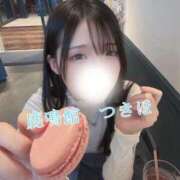 ヒメ日記 2025/12/30 12:06 投稿 つきほ 鹿鳴館