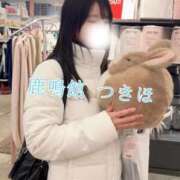 ヒメ日記 2025/12/31 21:16 投稿 つきほ 鹿鳴館