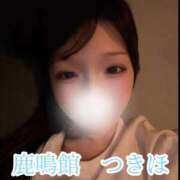 ヒメ日記 2026/01/12 21:06 投稿 つきほ 鹿鳴館