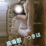 ヒメ日記 2026/01/15 06:46 投稿 つきほ 鹿鳴館