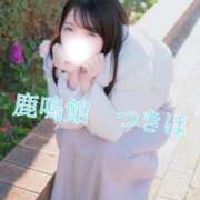 ヒメ日記 2026/01/17 06:46 投稿 つきほ 鹿鳴館