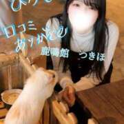 ヒメ日記 2026/01/17 12:16 投稿 つきほ 鹿鳴館